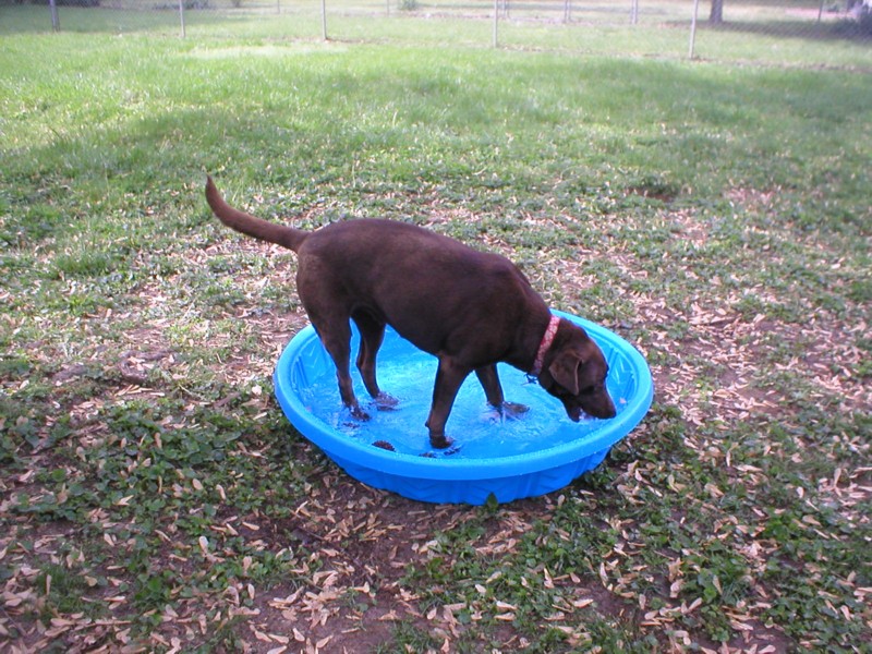 Katie in the pool.JPG